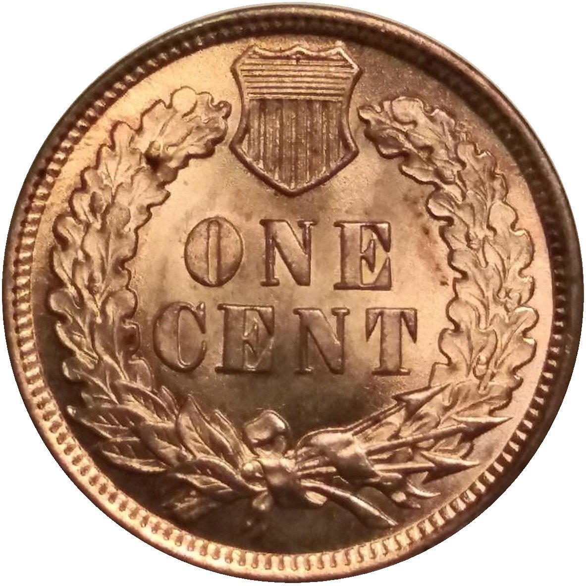 1902-1c-Indian-Head-Cent-#4
